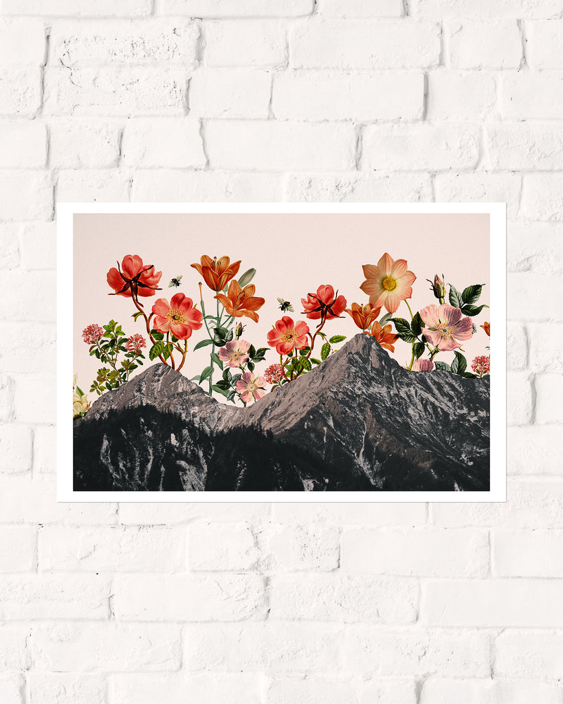 Mountain Flowers Art Print